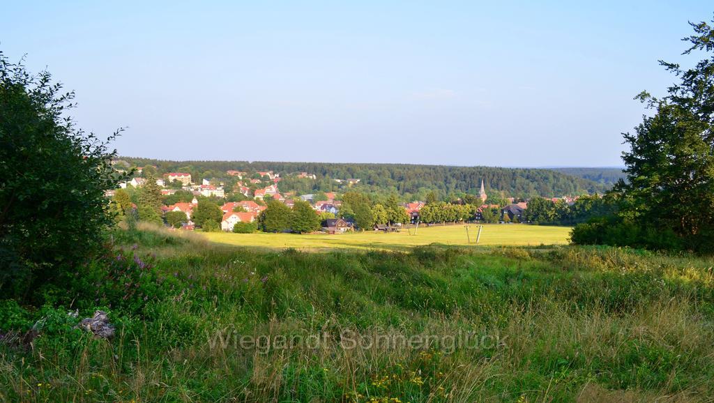 Ferienwohnung Sonnenglück mit Schwimmbad Braunlage Zimmer foto