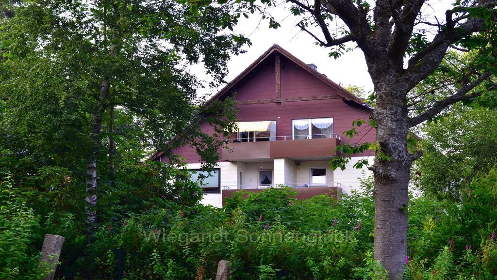 Ferienwohnung Sonnenglück mit Schwimmbad Braunlage Zimmer foto